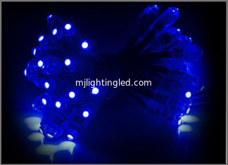 China Blue pixel Lighting led Night Lights 5V Wedding Christmas Lights LED Pixel Module Outdoor Twinkle Christmas Decoration supplier