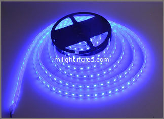 China Blue strips light 12V LED lamp tape string light 60led/m Building decoration supplier