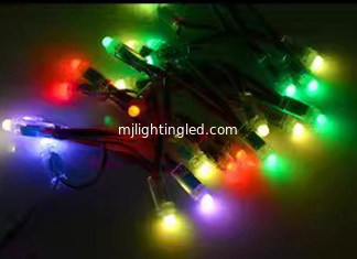 China 12mm 5V Colorful LED Pixels Light 2802/2806/2811/1903IC For Christmas Decoration supplier