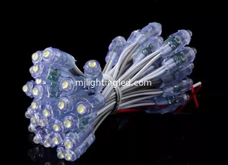 China LED Lighting Modules 50pcs 9mm Waterproof String Node Lights 5V 12V Pixel LED Point Lights For Advertisement supplier