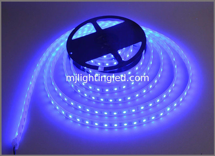 Blue Strips Light 12v Led Lamp Tape String Light 60led M Building