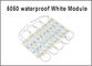 20PCS/Lot  5050 SMD Led Module 3 Leds Cool White DC12V Waterproof LED For Backlighting Advertising Board Display supplier