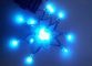 DC5V 12mm RGB led light,IP68 waterproof colorchangable christmas decorating lights  Independently Addressable LED supplier