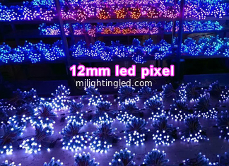 China CE Rohs Colorfull led lamp 12mm RGB Pixels for advertising 3D letters RGB display screen. supplier