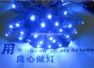 China 9mm Led Exposed Light String 5V Blue LED Light 50pcs/String For Shop Billboard Decoration supplier