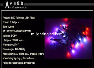 China 12MM 5V Fullcolor Digital Rgb Led Pixel1903IC String Pixels Lights T-1000S Controllers Programmable Advertising Signs supplier