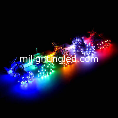 China LED Pixel Light 5V 12V Dot Lightings For Outdoor Advertising Signs Led Lighting Letters Red Green Blue Yellow White Pink supplier