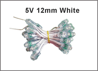 China 12mm 5V 12v LED Pixel Light For Building Decoration Waterproof supplier