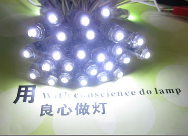 High Quality 9mm 12mm High Brightness Led Dot Lights Outdoor String Christmas LED Light 5V 12V supplier