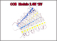 2.4w 5016 COB led 12V modules Red/Green/Blue/Yellow/White/pink modules for led backlight supplier