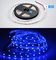 Lampada LED Light Ribbon Tape 3528 60LED/ meter  DC12V LED light blue color for Home Decoration Lamp supplier