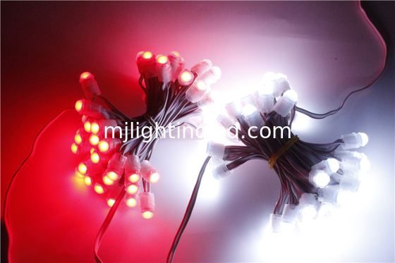 5 Years Warranty 9mm 12V 3Chip SMD LED Pixel Light Single Color Outdoor IP67 For Building Led Signs supplier