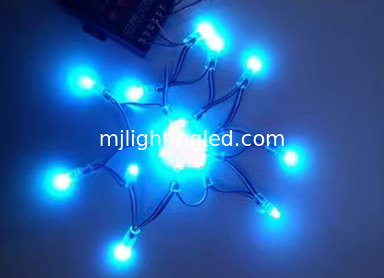 DC5V 12mm RGB led light,IP68 waterproof colorchangable christmas decorating lights  Independently Addressable LED supplier