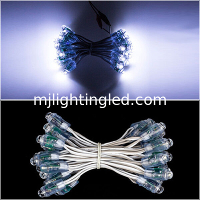 9mm LED Pixel Module Chain White Color 5V/12V Dot Light For Shop Letters Sign supplier