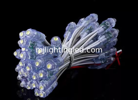 LED Lighting Modules 50pcs 9mm Waterproof String Node Lights 5V 12V Pixel LED Point Lights For Advertisement supplier