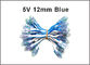 DC5V LED Lighting Letters 12mm Blue LED pixel string signage lighting led channel letters supplier