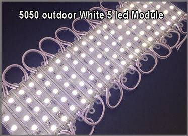 5050 led module light 5chip white modules LED channel letters supplier