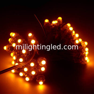 LED Pixel Light 5V 12V Dot Lightings For Outdoor Advertising Signs Led Lighting Letters Red Green Blue Yellow White Pink supplier