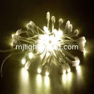 LED Pixel Light 5V 12V Dot Lightings For Outdoor Advertising Signs Led Lighting Letters Red Green Blue Yellow White Pink supplier
