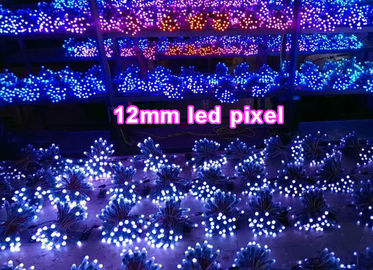 12mm 5V 2811 Addressable Led Pixel Light Colorchanging Led Signs Waterproof IP67 Building Decoration supplier