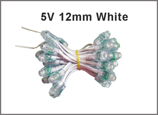 12mm 5V 12v LED Pixel Light For Building Decoration Waterproof supplier
